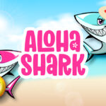 アロハシャーク(Aloha Shark)